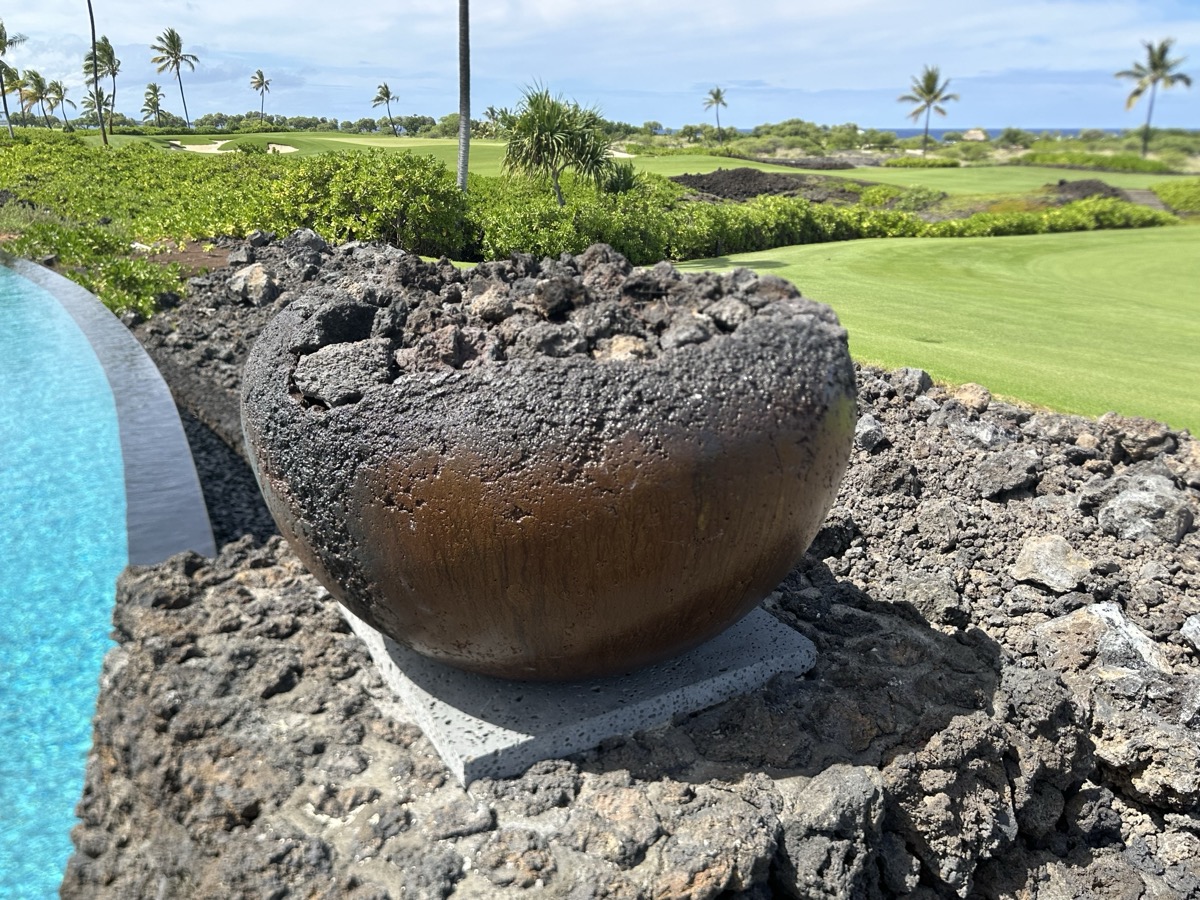 Fire bowl with tropical landscaping