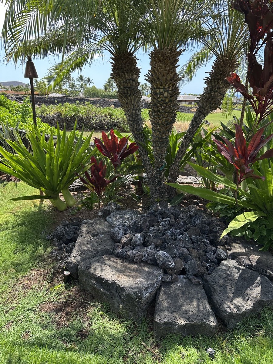 Fire pit — Big Island setting