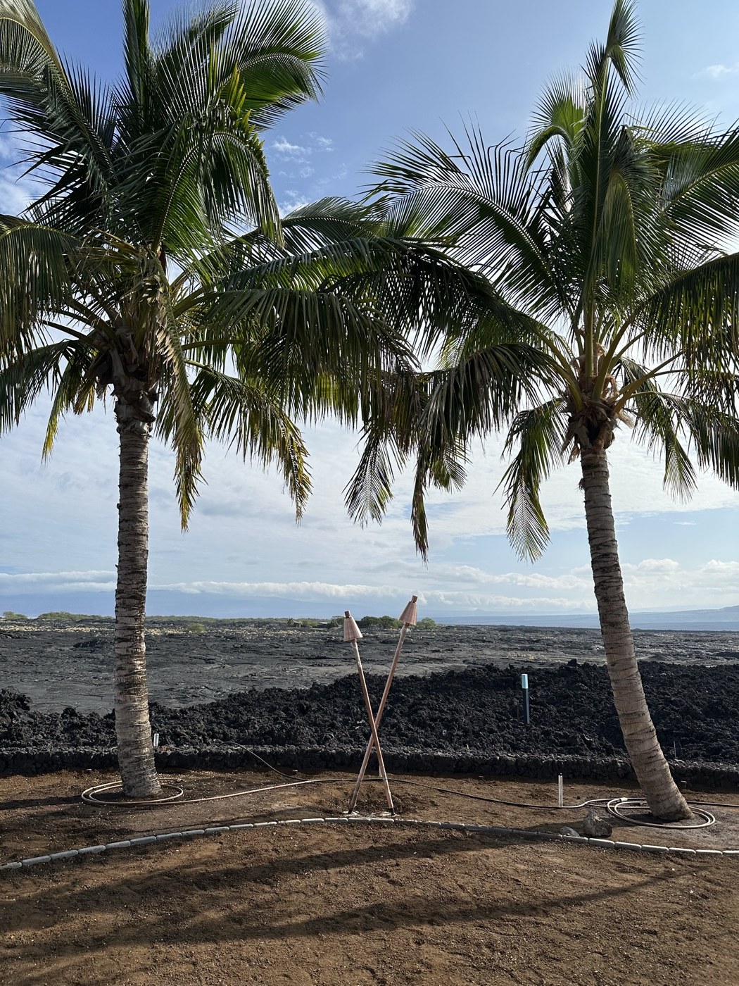 Pair of KAZ tikis standing between palm trees on a Big Island property