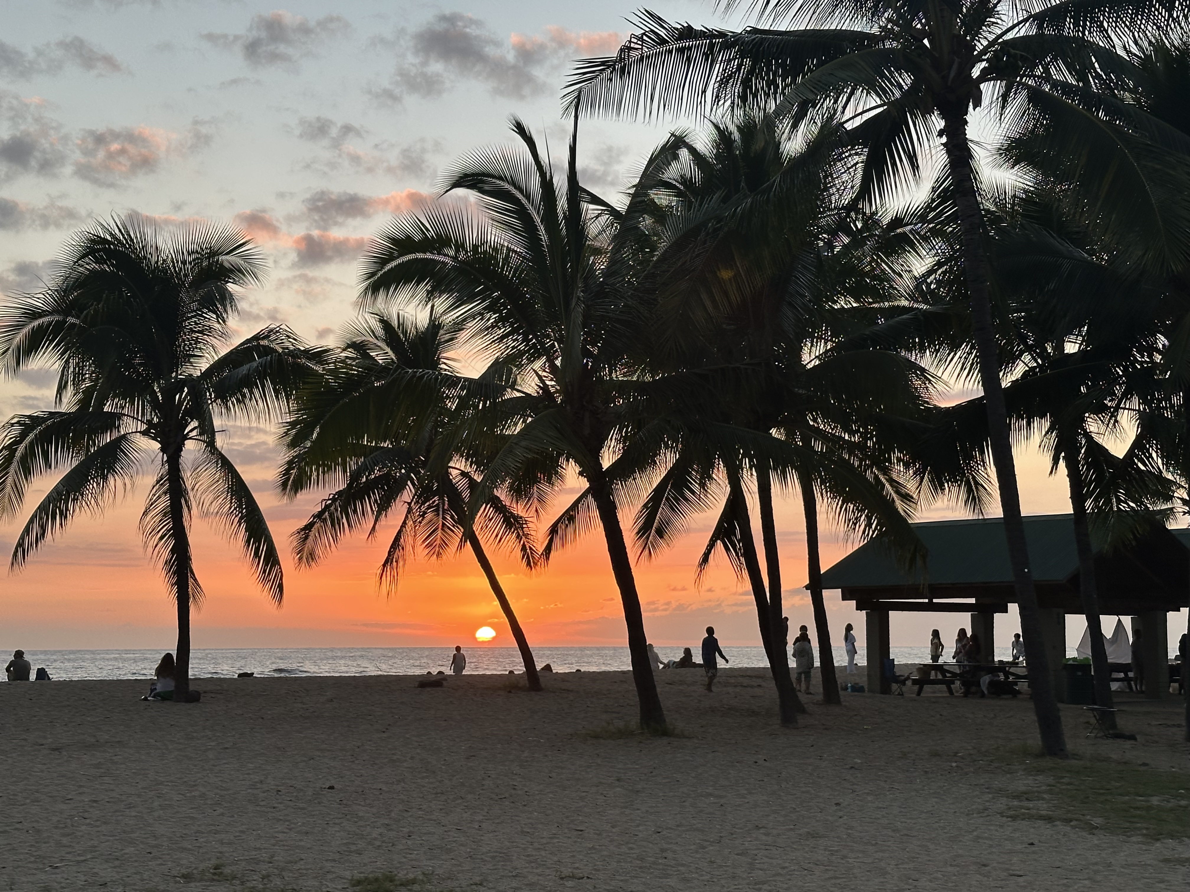 Palm trees silhouetted against sunset over the ocean in Kailua Kona, Hawaii
